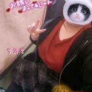 ヒメ日記 2025/11/18 10:49 投稿 ちあき 鹿児島ちゃんこ霧島店