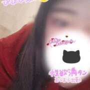 ヒメ日記 2025/11/18 14:59 投稿 ちあき 鹿児島ちゃんこ霧島店