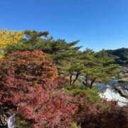 ヒメ日記 2025/11/23 17:20 投稿 ちあき 鹿児島ちゃんこ霧島店