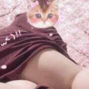 ヒメ日記 2026/04/21 20:49 投稿 ちあき 鹿児島ちゃんこ霧島店