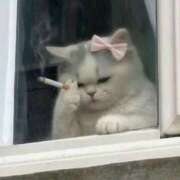 ヒメ日記 2026/01/16 02:48 投稿 ひなの 海物語