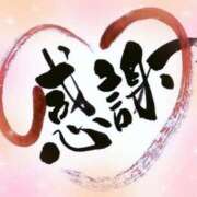 ヒメ日記 2025/12/02 08:35 投稿 しずく 横浜おかあさん