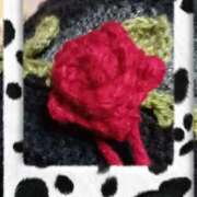 ヒメ日記 2025/12/09 07:55 投稿 しずく 横浜おかあさん