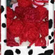 ヒメ日記 2025/12/22 12:55 投稿 しずく 横浜おかあさん