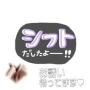 ヒメ日記 2026/01/07 11:05 投稿 しずく 横浜おかあさん