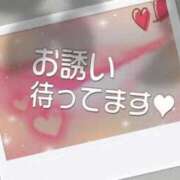 ヒメ日記 2026/02/21 08:11 投稿 しずく 横浜おかあさん