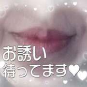 ヒメ日記 2026/02/28 08:55 投稿 しずく 横浜おかあさん