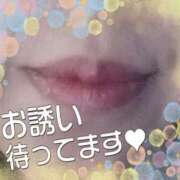 ヒメ日記 2026/03/06 08:45 投稿 しずく 横浜おかあさん