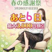 ヒメ日記 2026/03/14 11:42 投稿 しずく 横浜おかあさん