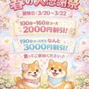 ヒメ日記 2026/03/14 12:57 投稿 しずく 横浜おかあさん