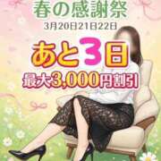 ヒメ日記 2026/03/17 09:45 投稿 しずく 横浜おかあさん