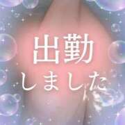 ヒメ日記 2026/06/03 08:45 投稿 しずく 横浜おかあさん