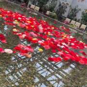 ヒメ日記 2025/10/20 03:06 投稿 しの ダイスキ