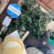 ヒメ日記 2025/12/21 03:57 投稿 しの ダイスキ