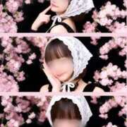 ヒメ日記 2026/03/23 22:46 投稿 なつき 天空のマット　熊本店