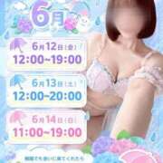 ヒメ日記 2026/06/09 19:46 投稿 なつき 天空のマット　熊本店