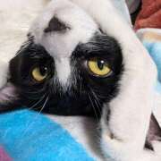 ヒメ日記 2025/11/07 21:22 投稿 片山千草 五十路マダム　和歌山店