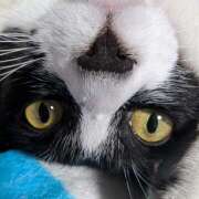 ヒメ日記 2025/11/08 13:28 投稿 片山千草 五十路マダム　和歌山店