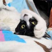 ヒメ日記 2025/11/08 13:32 投稿 片山千草 五十路マダム　和歌山店