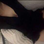 ヒメ日記 2025/12/13 11:00 投稿 まこ ハニープラザ（ユメオト）