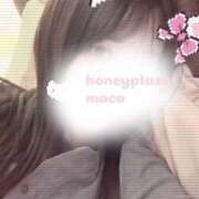 ヒメ日記 2026/01/26 01:03 投稿 まこ ハニープラザ（ユメオト）