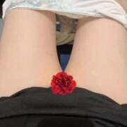 ヒメ日記 2025/10/24 10:04 投稿 かなみ 即アポ奥さん ～津・松阪店～