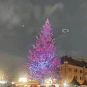 ヒメ日記 2025/12/20 20:35 投稿 ことは 池袋マリン別館