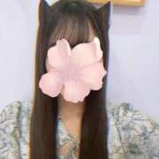 ヒメ日記 2025/10/17 18:27 投稿 わかな 秋葉原鑑賞ガール