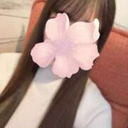 ヒメ日記 2025/10/29 13:27 投稿 わかな 秋葉原鑑賞ガール