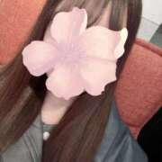 ヒメ日記 2025/11/04 12:37 投稿 わかな 秋葉原鑑賞ガール