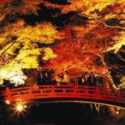 ヒメ日記 2025/11/02 19:05 投稿 ねいろ 2人だけの音色を奏でます ウエスト・コム