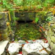 ヒメ日記 2026/01/05 15:35 投稿 ねいろ 2人だけの音色を奏でます ウエスト・コム