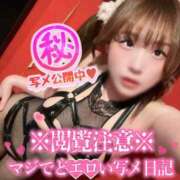 ヒメ日記 2026/04/30 12:12 投稿 アリサ ドMなバニーちゃん大宮店