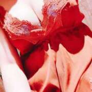 ヒメ日記 2025/10/27 19:20 投稿 南　あおば リラクゼーションサロン　le Cocon～ルココン～