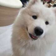 ヒメ日記 2025/11/05 19:59 投稿 すみれ プールサイド