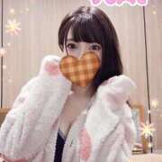 ヒメ日記 2025/11/14 18:28 投稿 すみれ プールサイド