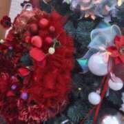 ヒメ日記 2025/11/27 19:04 投稿 すみれ プールサイド