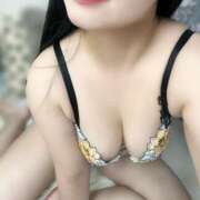 ヒメ日記 2025/11/06 09:02 投稿 りん C.C.CATS