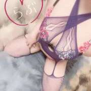 ヒメ日記 2025/11/22 20:42 投稿 りん C.C.CATS