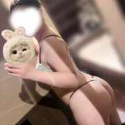 ヒメ日記 2025/12/07 19:22 投稿 りん C.C.CATS