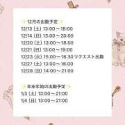 ヒメ日記 2025/12/12 19:03 投稿 りん CCキャッツ