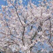 ヒメ日記 2026/04/03 17:48 投稿 早川 モアグループ春日部人妻城