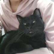 ヒメ日記 2025/10/24 22:54 投稿 かおん 逢って30秒で即尺