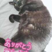 ヒメ日記 2025/10/25 12:45 投稿 かおん 逢って30秒で即尺