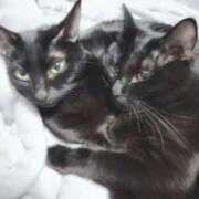 ヒメ日記 2025/10/26 13:43 投稿 かおん 逢って30秒で即尺