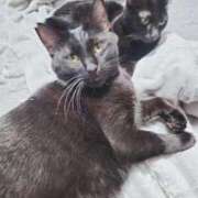 ヒメ日記 2025/11/06 14:31 投稿 かおん 逢って30秒で即尺