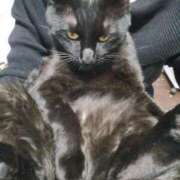 ヒメ日記 2025/11/09 17:45 投稿 かおん 逢って30秒で即尺