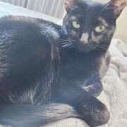 ヒメ日記 2025/11/23 14:32 投稿 かおん 逢って30秒で即尺