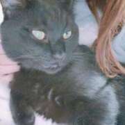 ヒメ日記 2025/12/10 21:06 投稿 かおん 逢って30秒で即尺