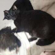 ヒメ日記 2026/01/26 14:03 投稿 かおん 逢って30秒で即尺